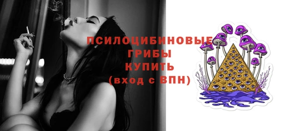 сатива Абдулино