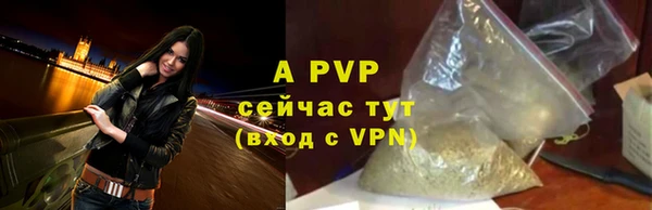сатива Абаза