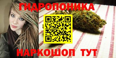 кокс Пугачёв